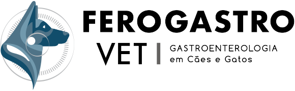 Assisi Vet Centro de Especialidades Veterinárias