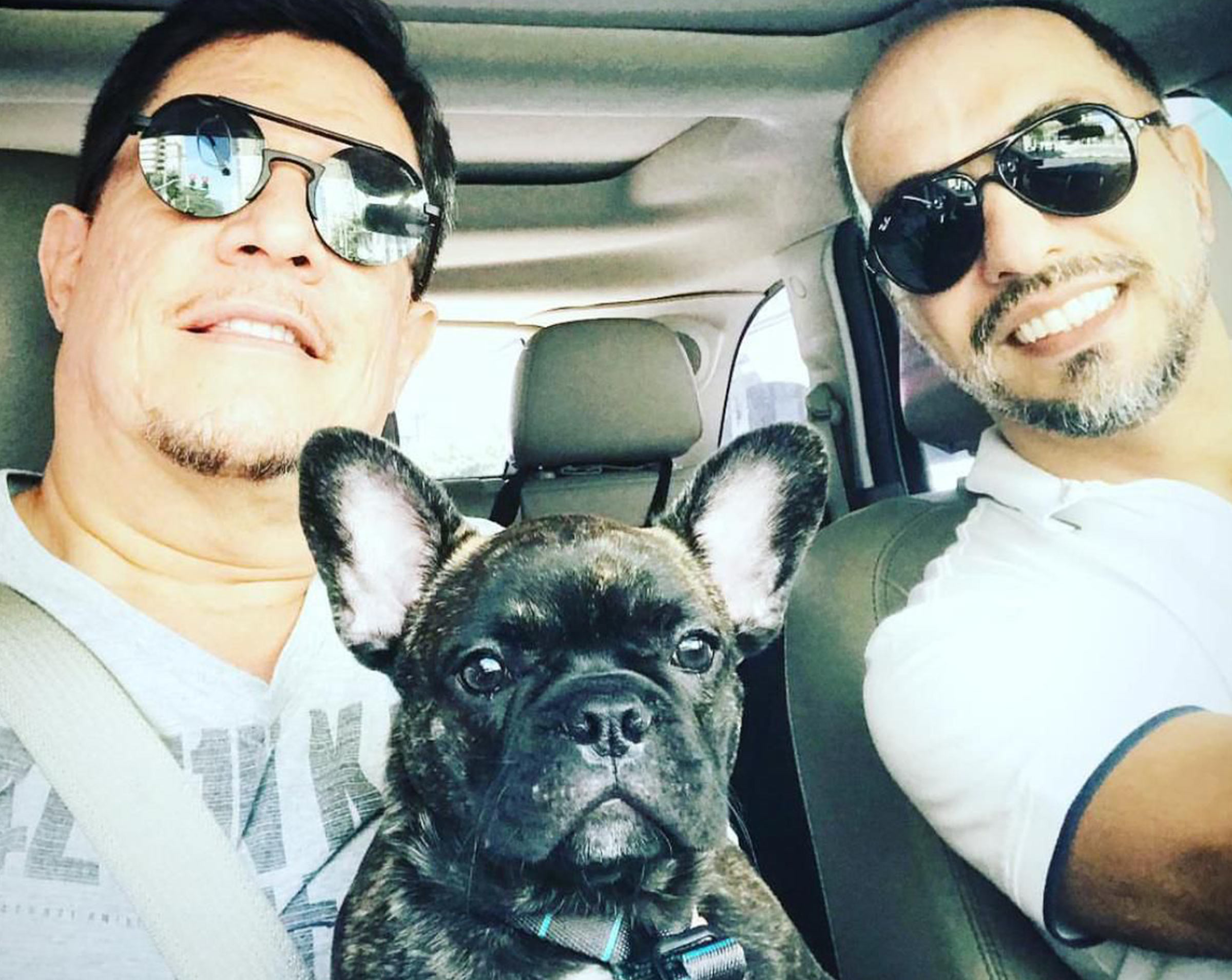Oscar, atendido pela OSTEONVET